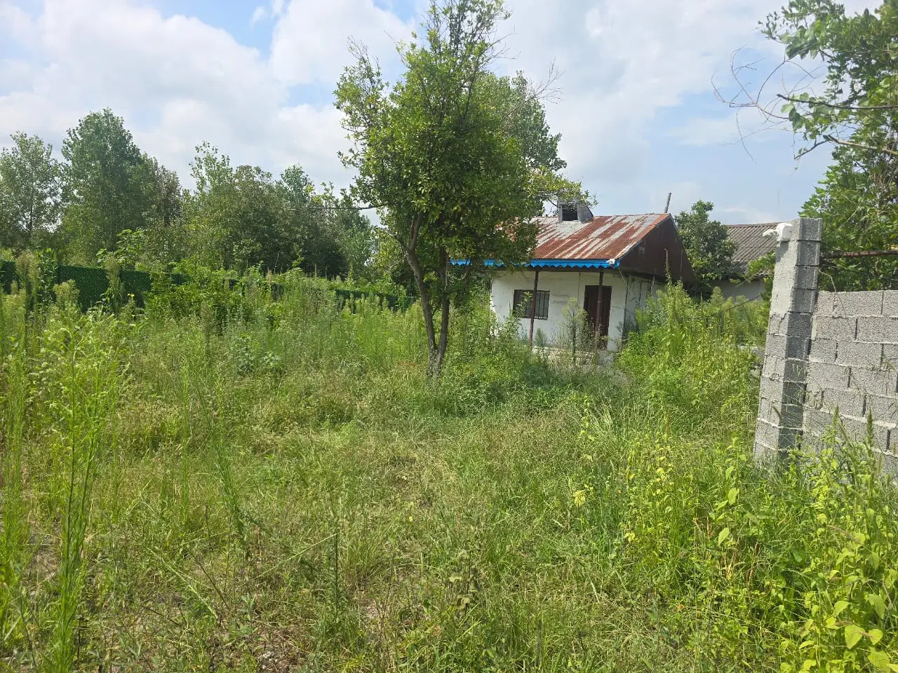 خانه ویلایی_سرسبز جنگلی