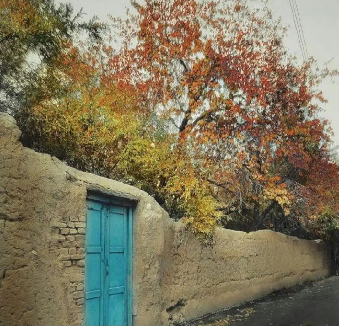 زمین