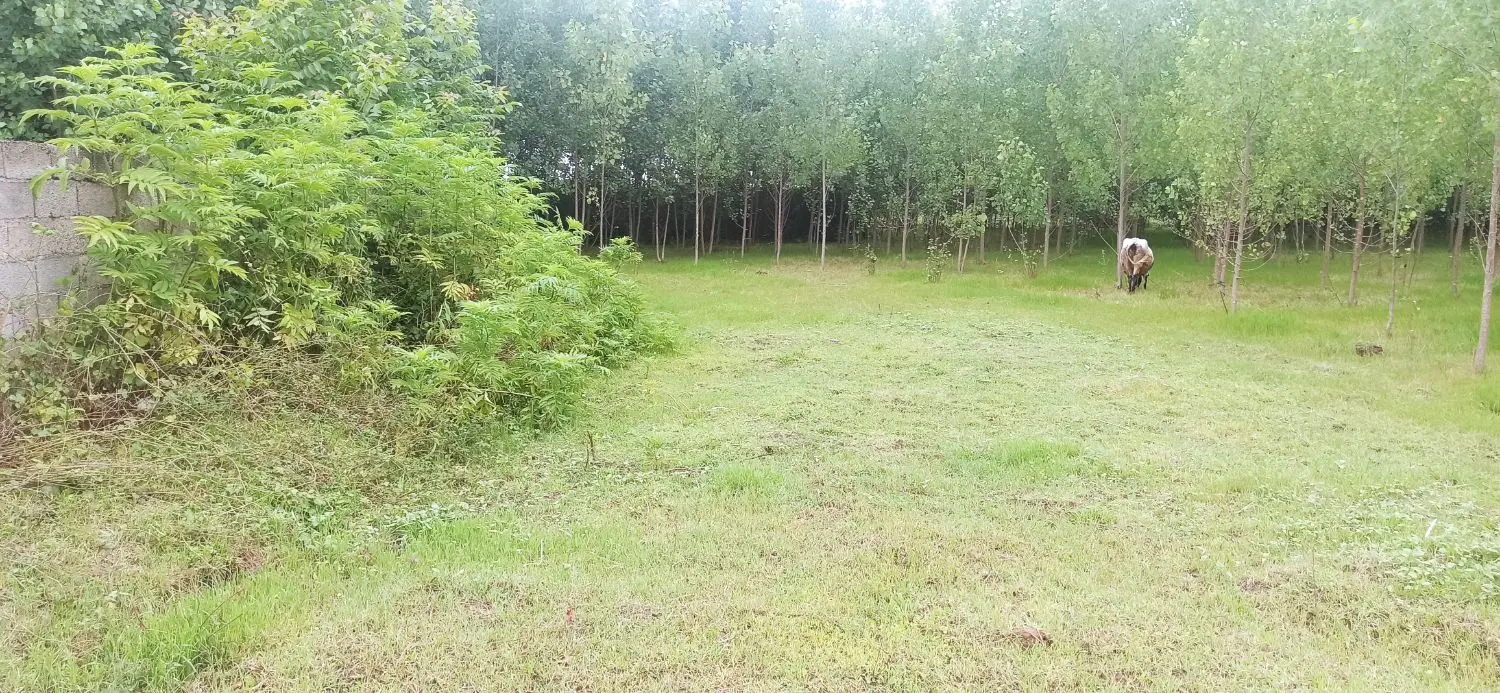 500مترجیرمحله کسما