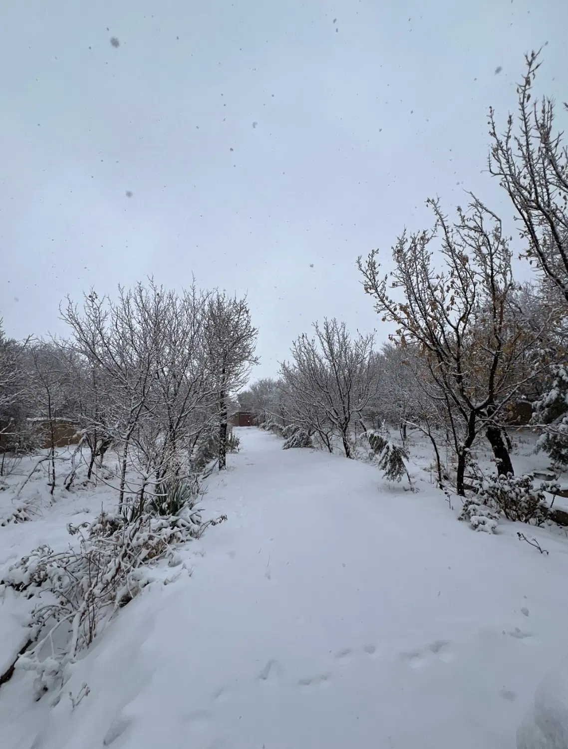 باغ ۱۹۰۰ متری در مرکز جوپار
