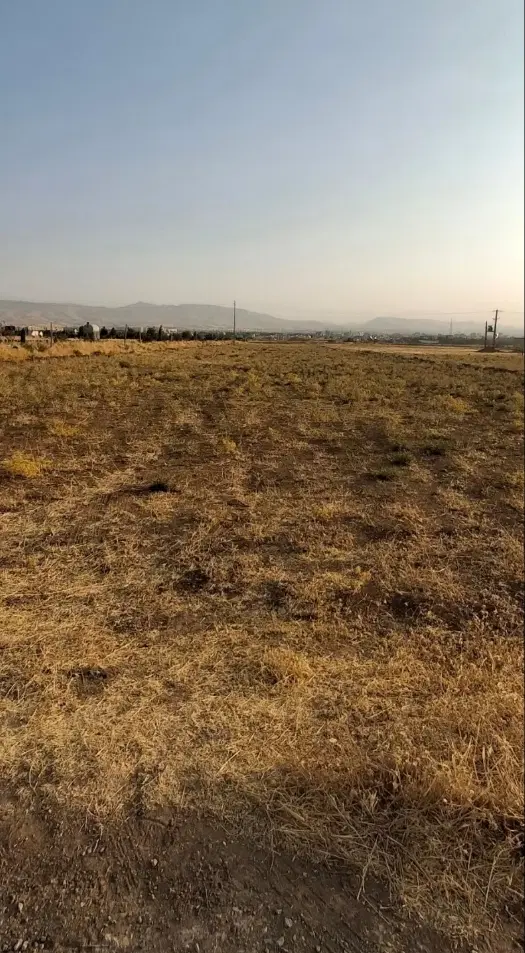 دو قطعه زمین کشاورزی در روستای دوستوند