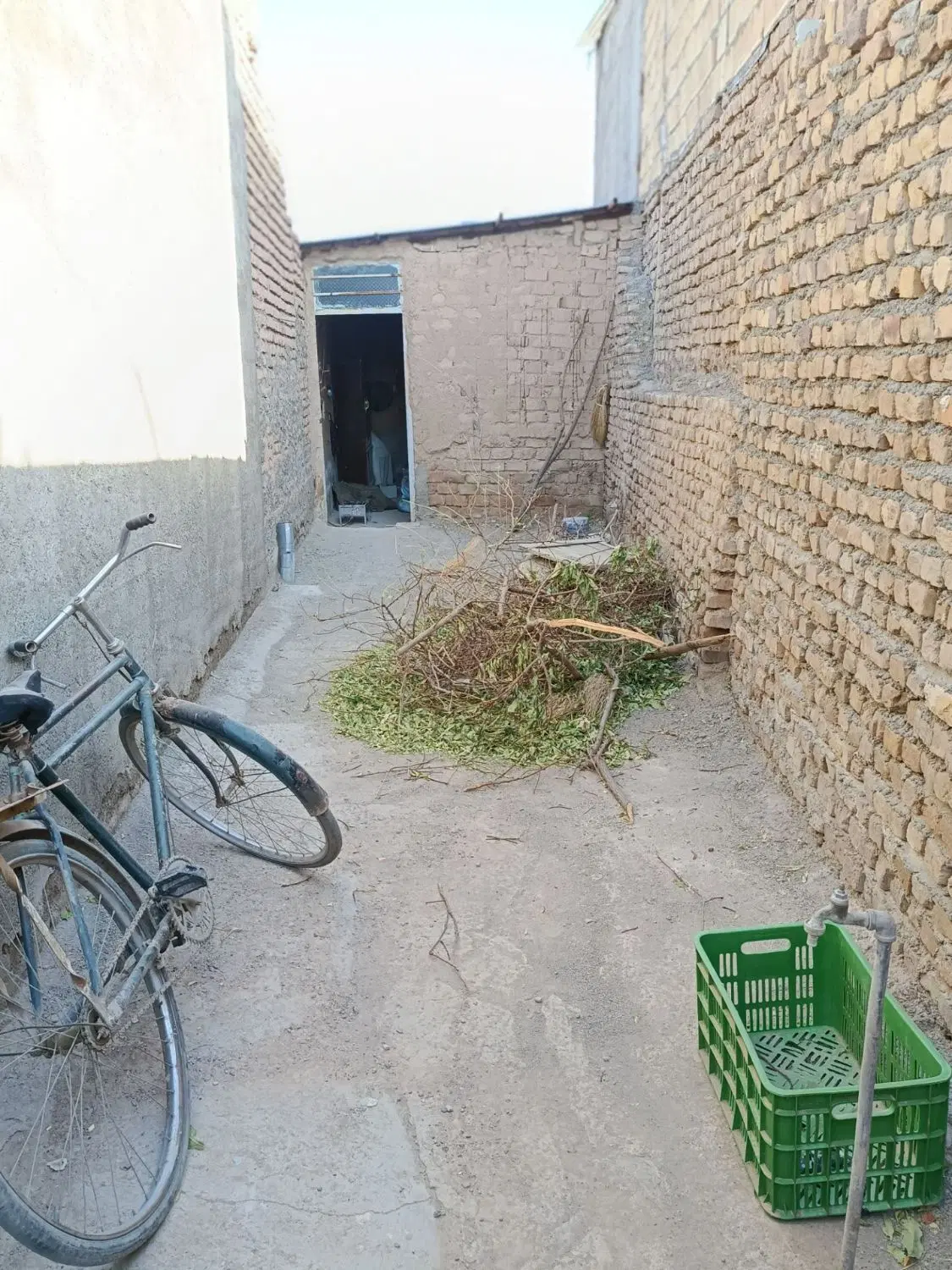 زمین 50متری