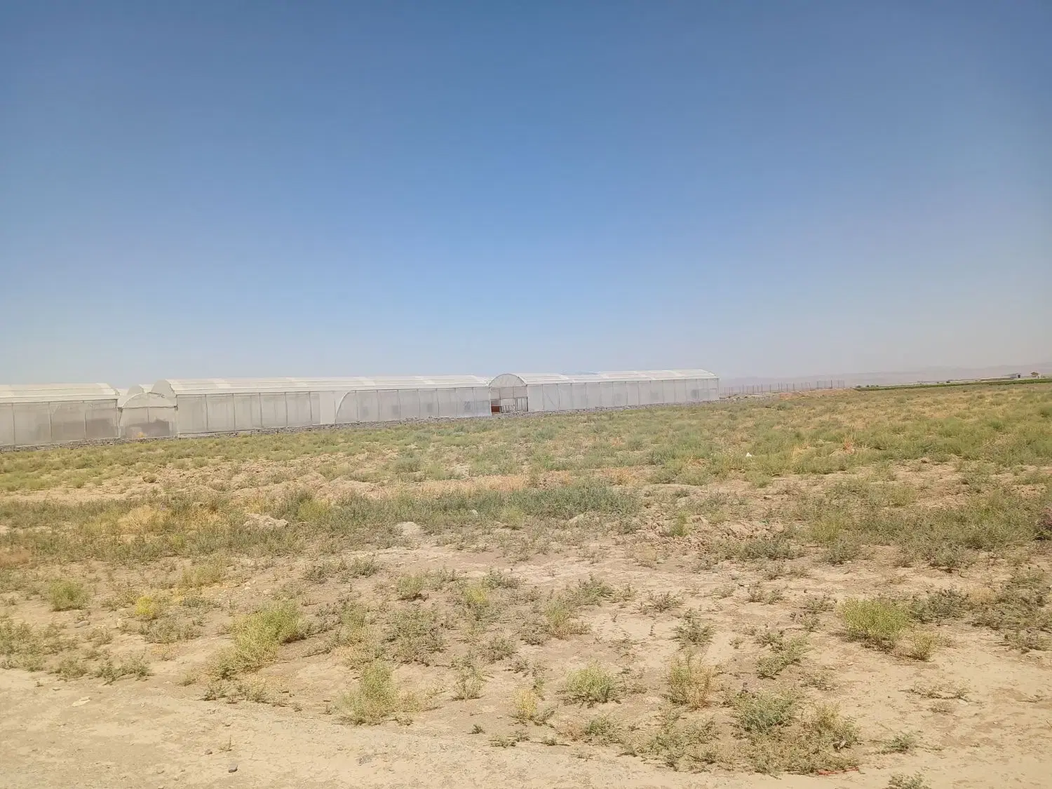 زمین‌ اراضی هکتاربالا باچاه دربست درشهرستان جعفریه