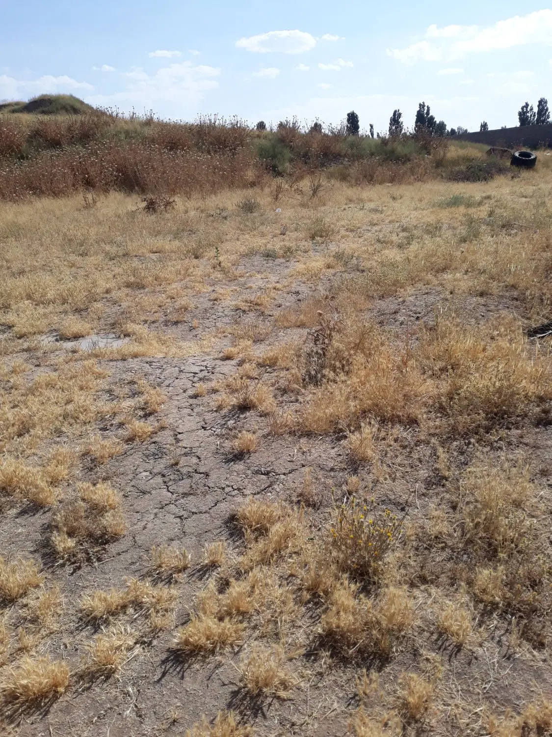 زمین در کانی نیاز