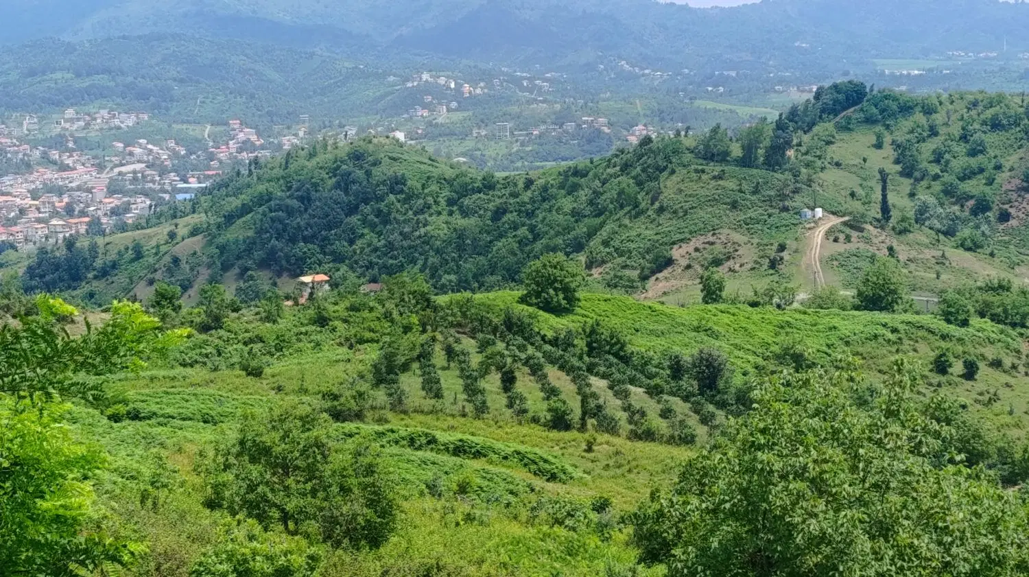 ۲۴۰ متر زمین مسکونی با چشم انداز