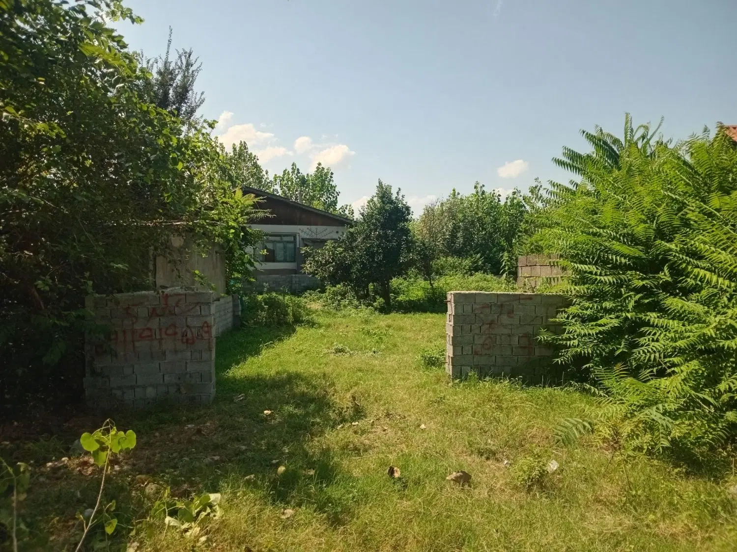 ۳۳۹ متر زمین مسکونی کوچصفهان ملاسرا
