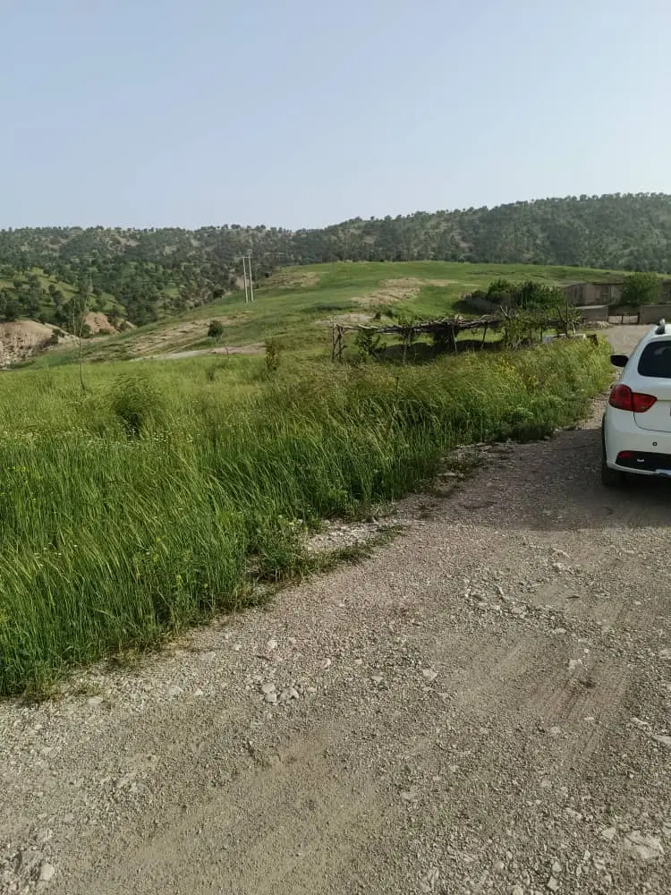زمین