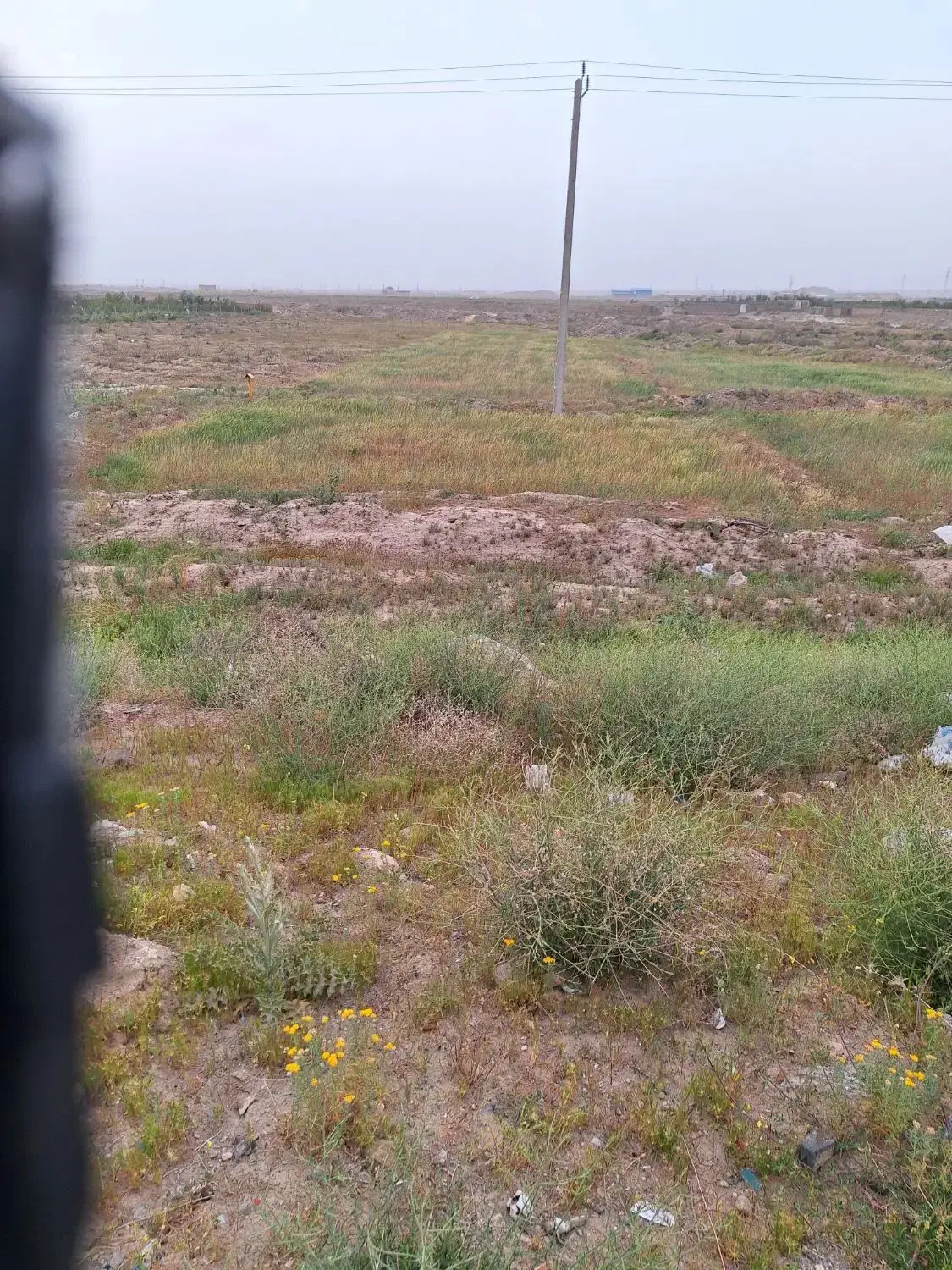 زمین باغی وزراعی