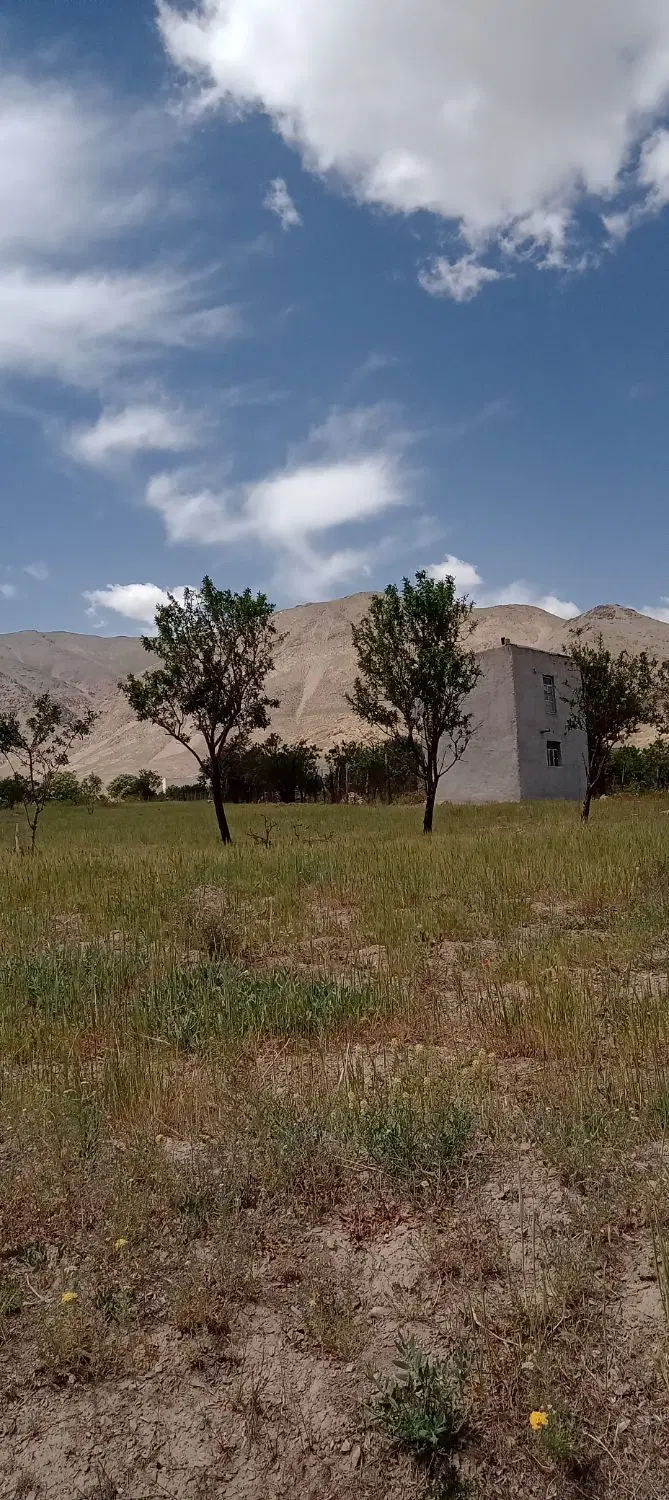 زمین پلاک۲۰  حسین اباد بغدادی مناسب سرمایه‌گذار