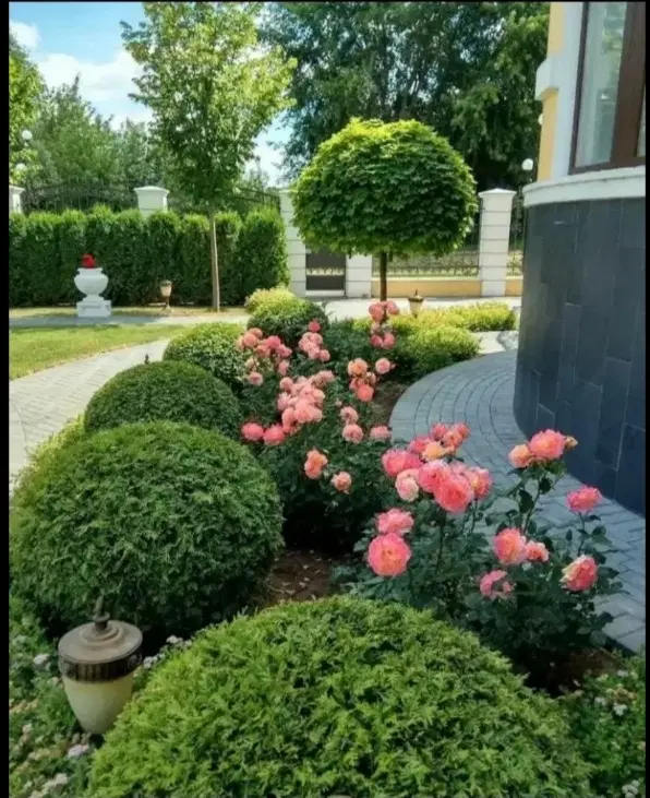 فروش زمین واگذاری بهزیستی