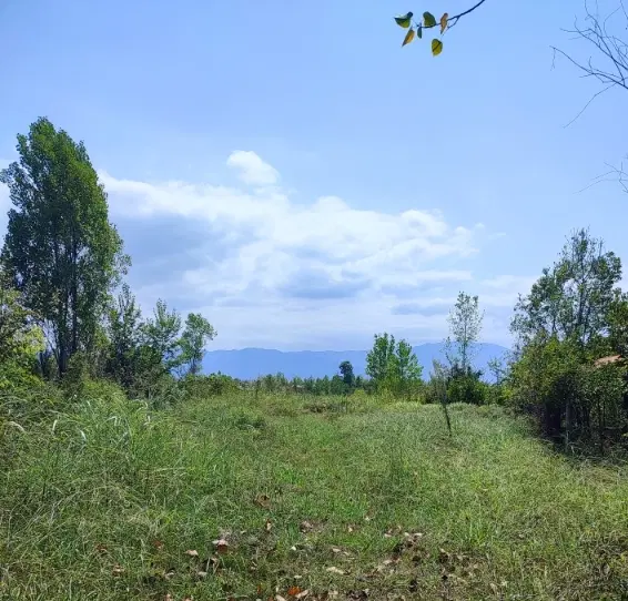 فروش زمین 200 متری روستایی با کاربری مسکونی
