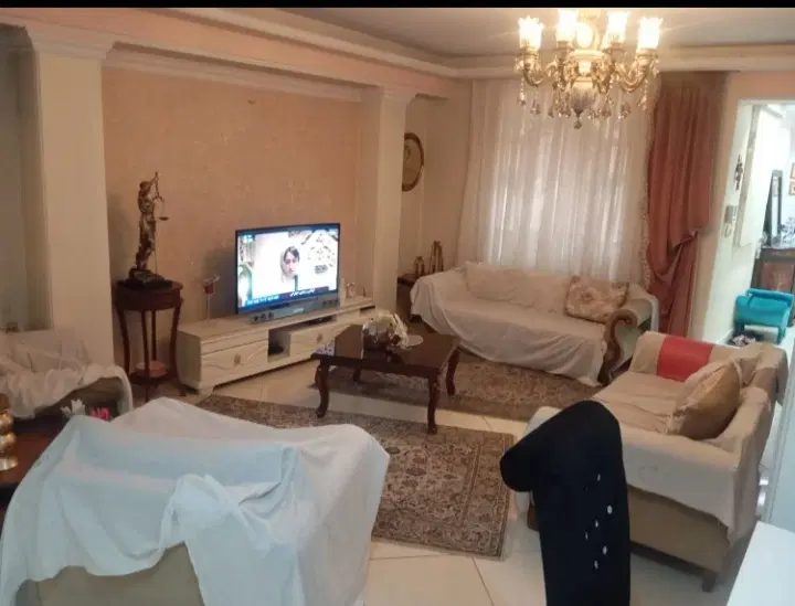 کوی لاله پامچال نیلوفر نگین