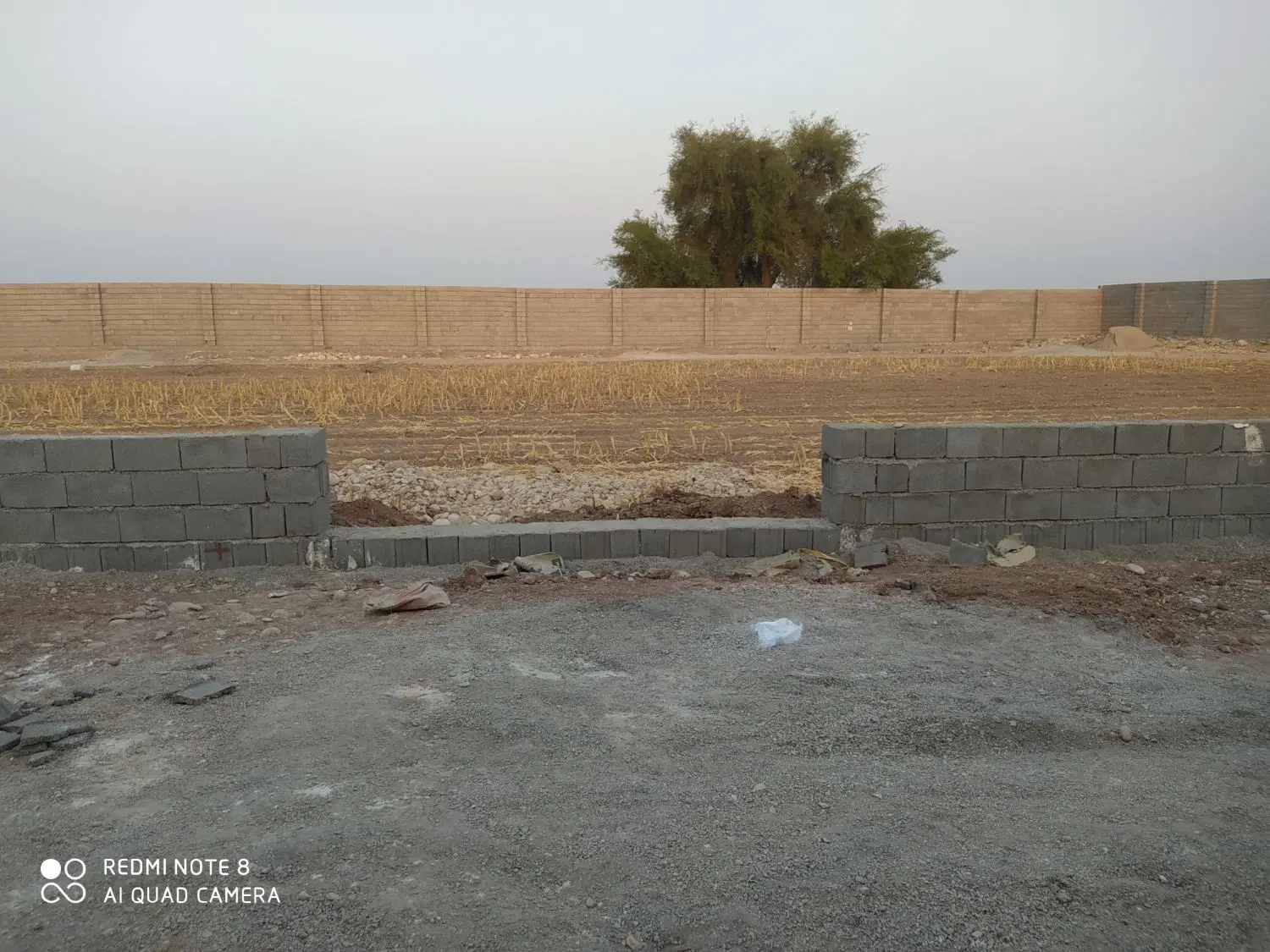 باغچه ۳۵۰متری کوی خاطره