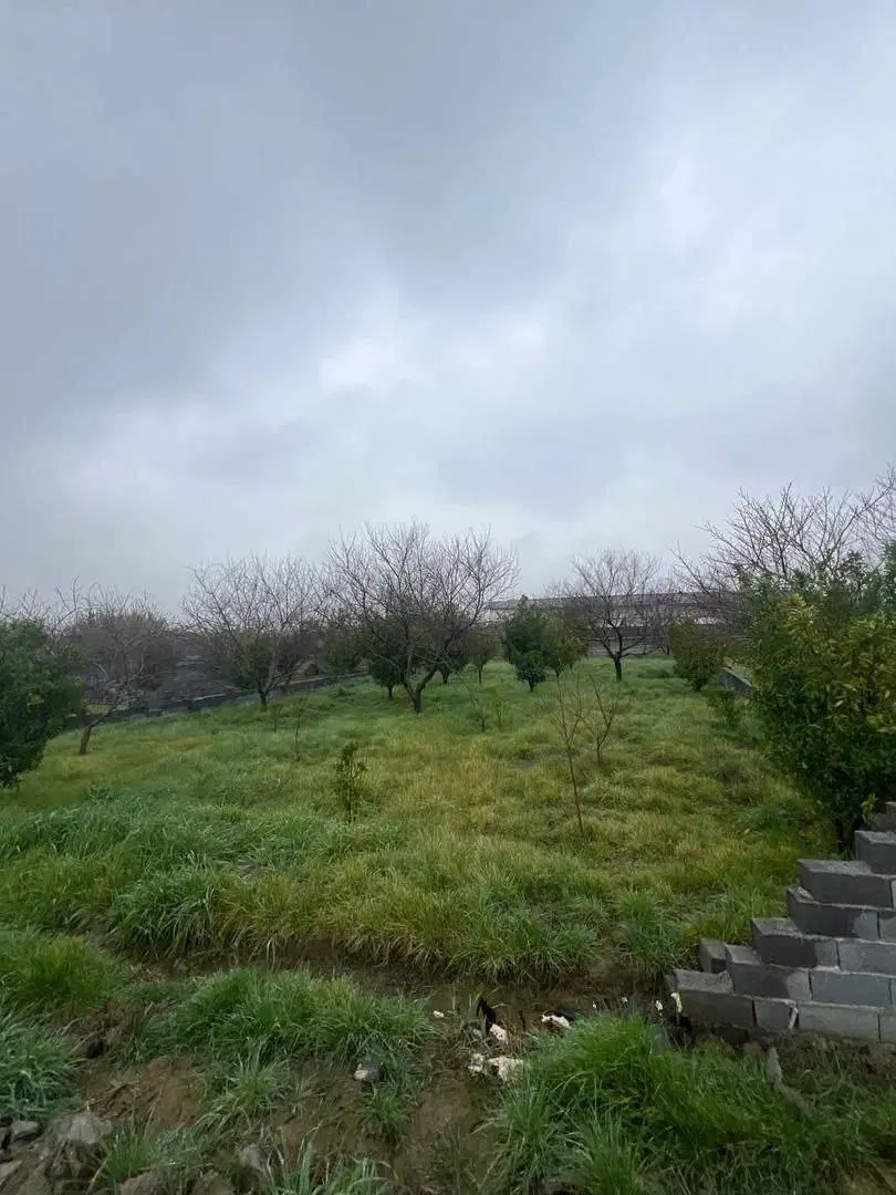 زمین مسکونی جای سرسبز دلنشین محمود اباد شمال