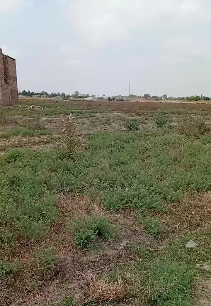 انتها انجیرآب 16