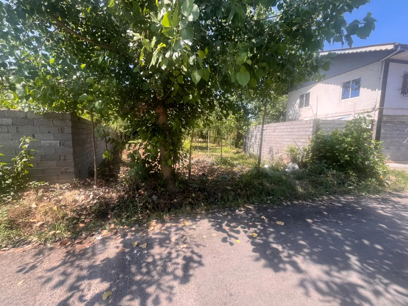 زمین ۶۸۵ متری نیاکو ، مسکونی