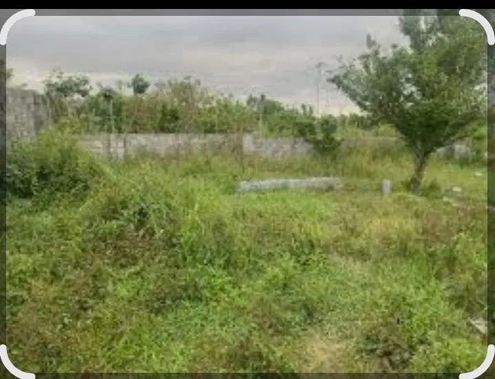 فروش زمین