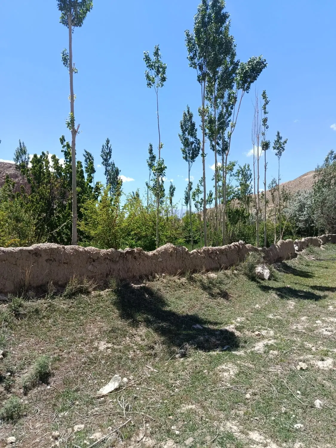 فروش باغ در دیباج