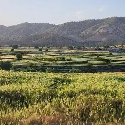 زمین مسکونی ششبهره