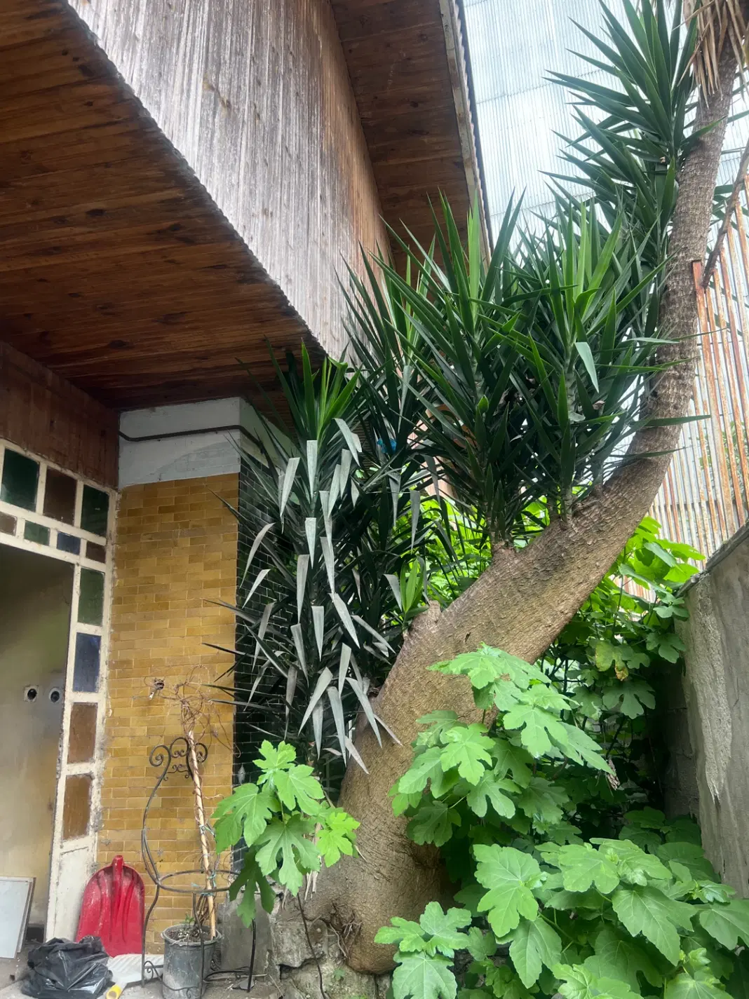 مکان از ما سرمایه گذاری از شما