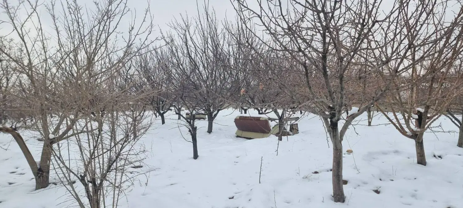 باغ ویلا در محیطی دنج و روستایی ییلاقی