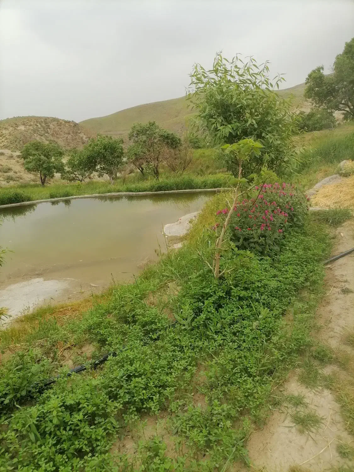 باغ و ویلا زیبا و بی نظیر در نزدیک قزوین