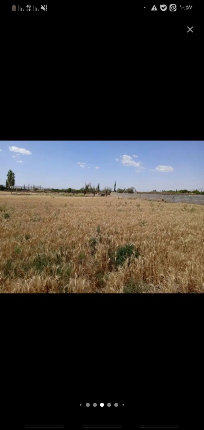 زمین باغی و کشاورزی