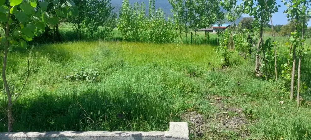 زمین سنددار چالوس شمال