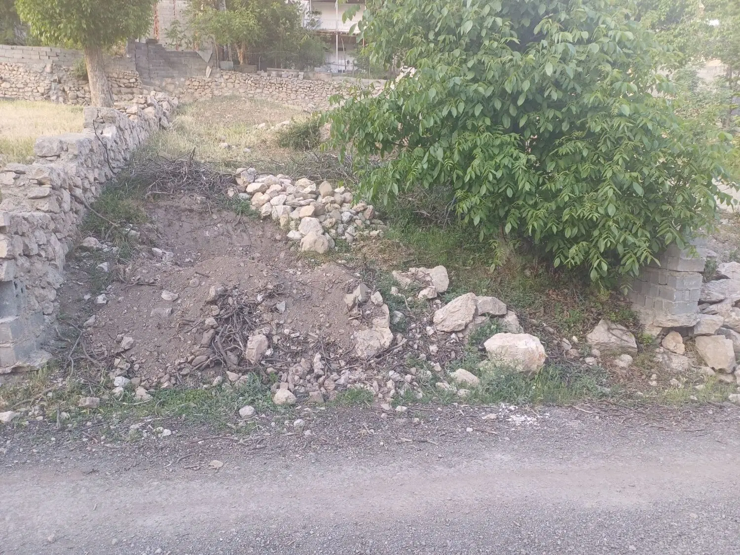 زمین در لاریجان منطقه امیری روستای ترا