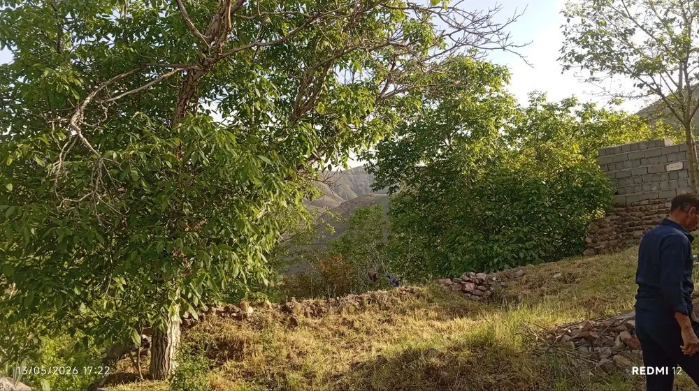 خونه