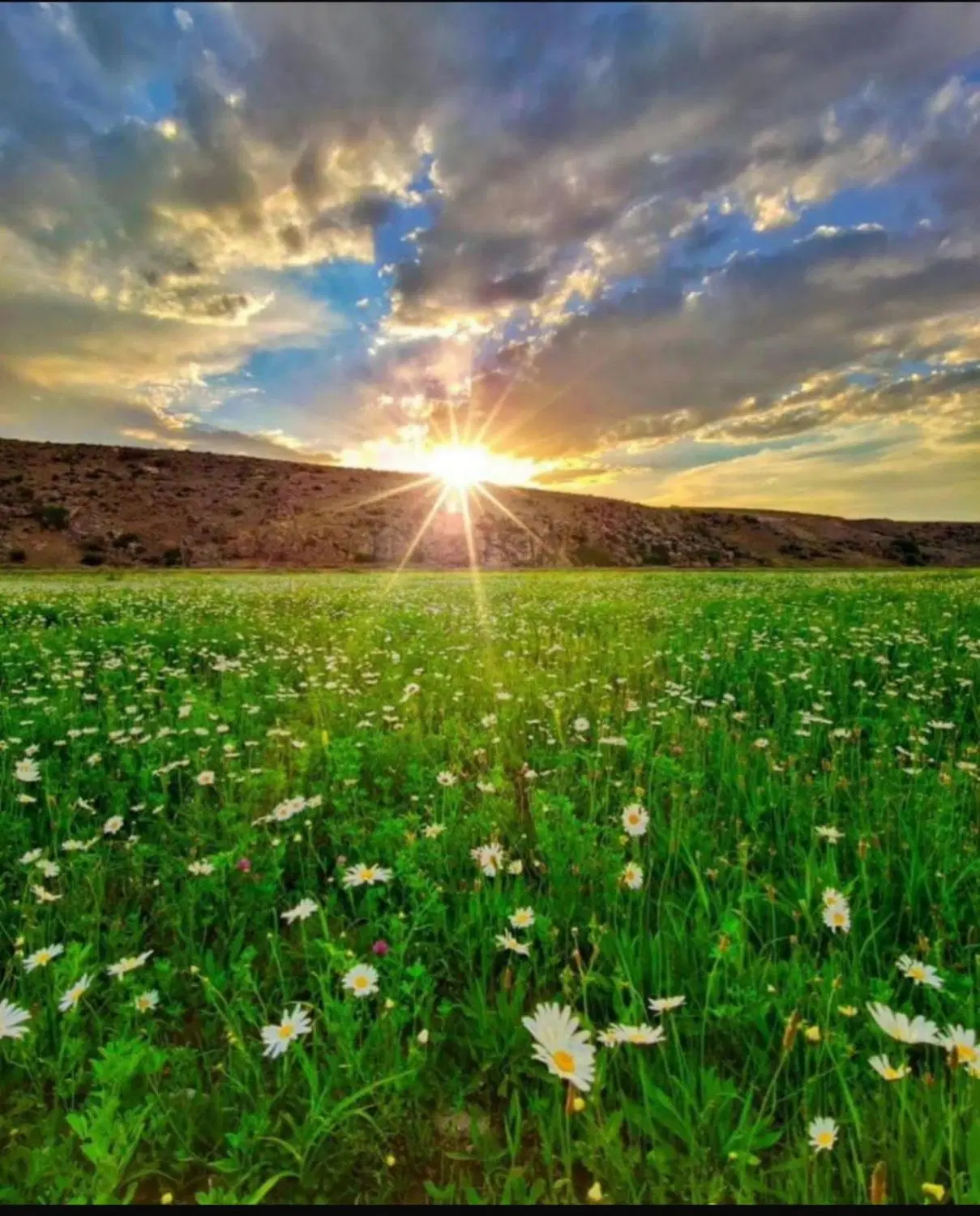 فروش زمین در شهرک بهاران