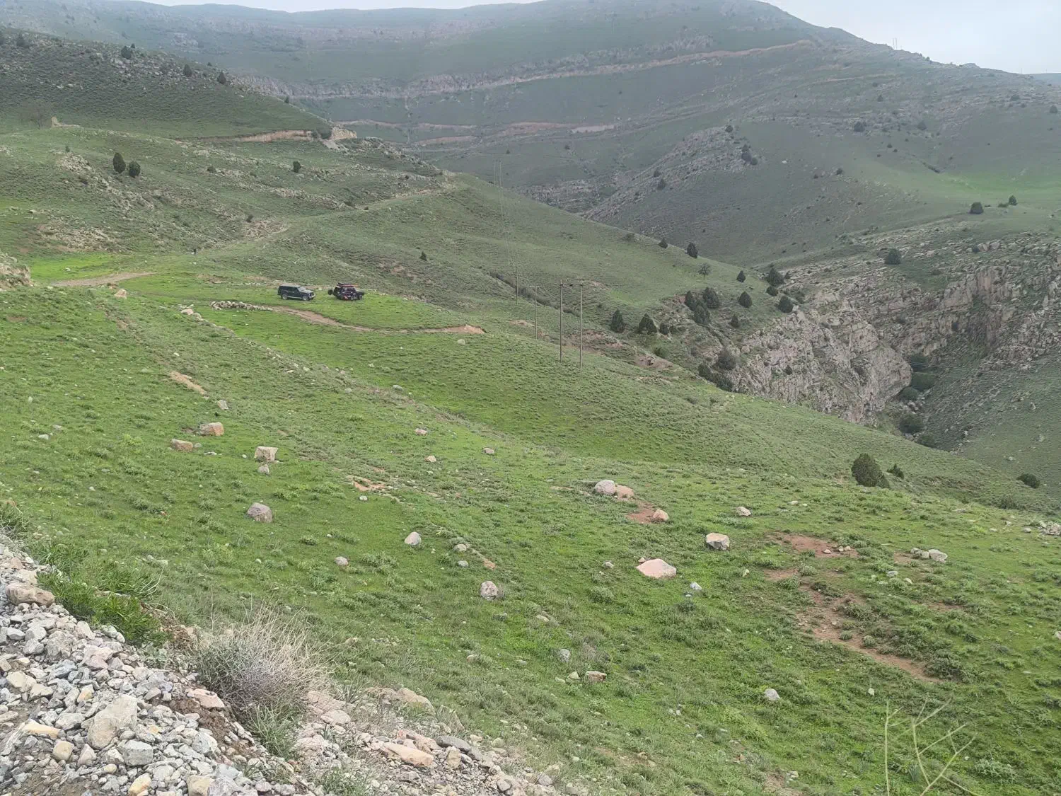 فروش یک قطعه باغ