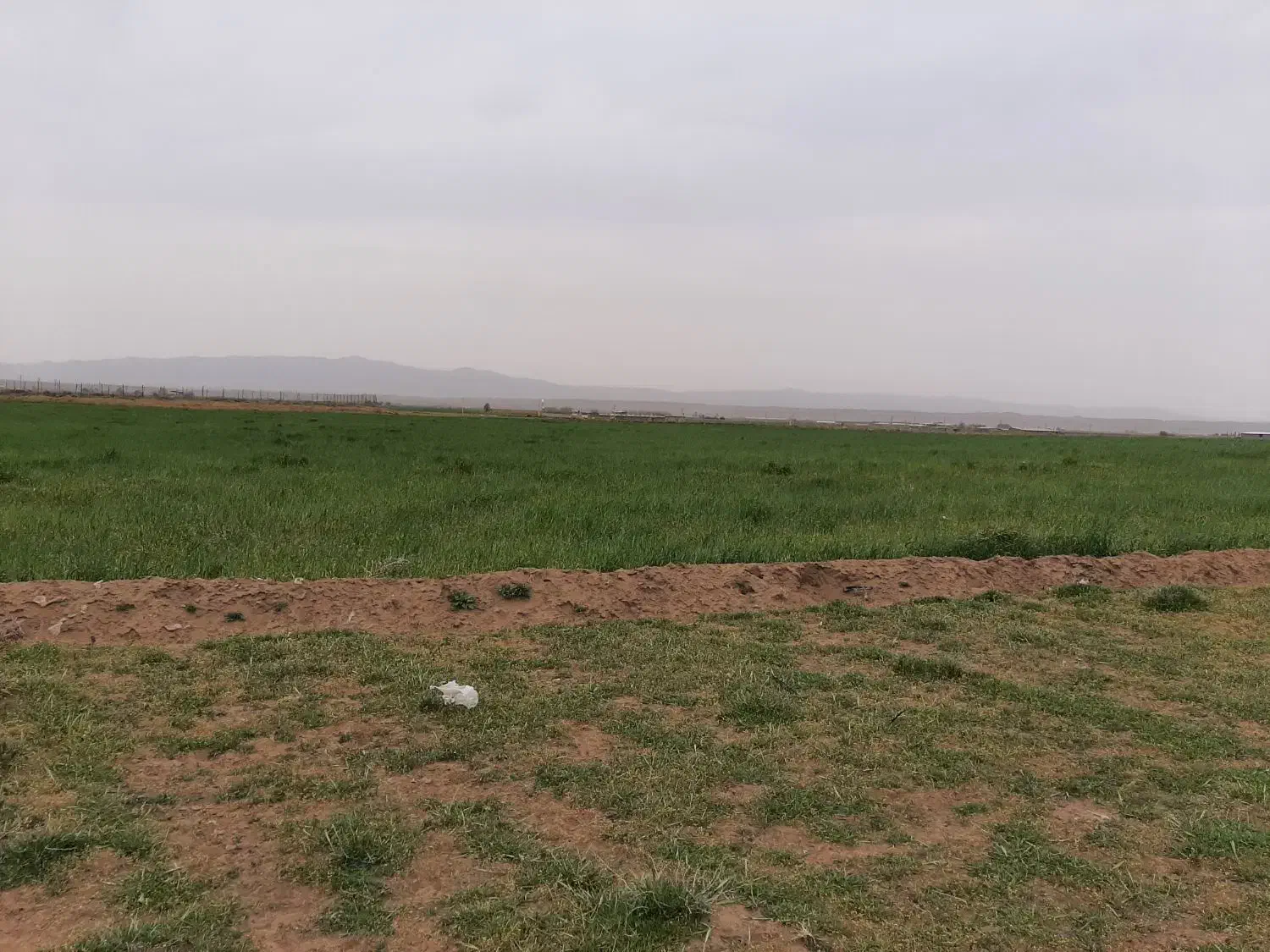 زمین کشاورزی با سهمیه آب از چاه مجوز دار نجم اباد