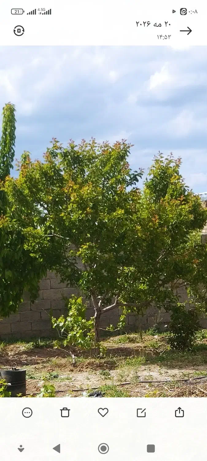 خانه روستایی