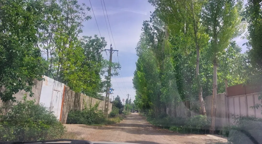 باغچه چهاردیواری