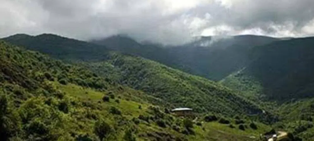 باغ روستا زرشک