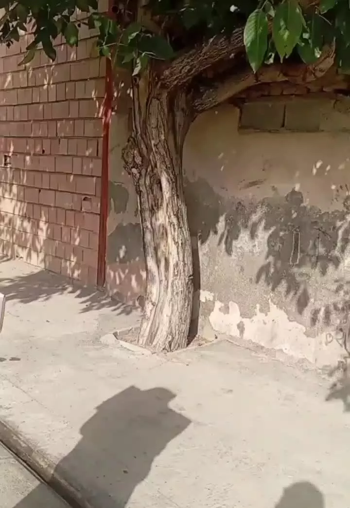اجاره خانه قاسم اباد بزرگ