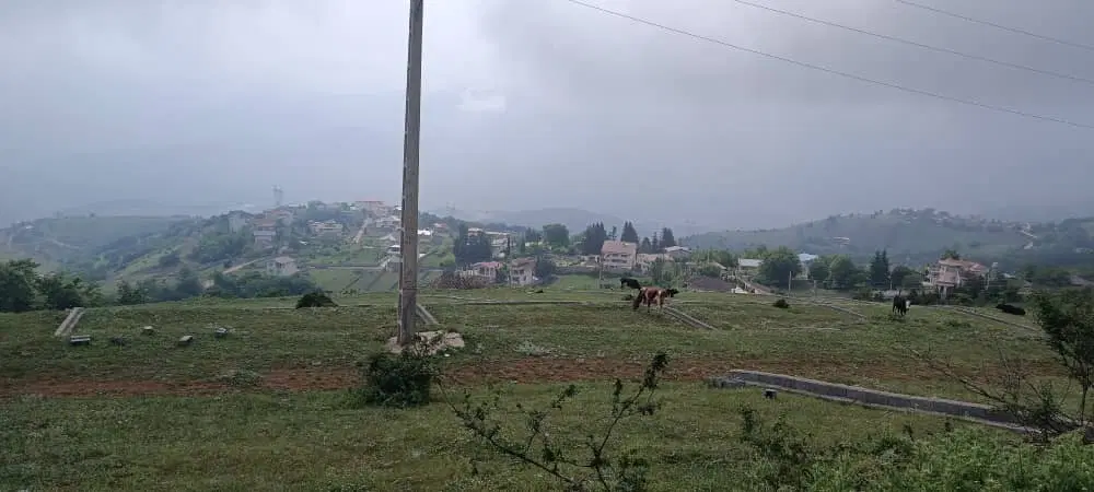 ۲۲۳مترزمین گوهرکلا کلاردشت