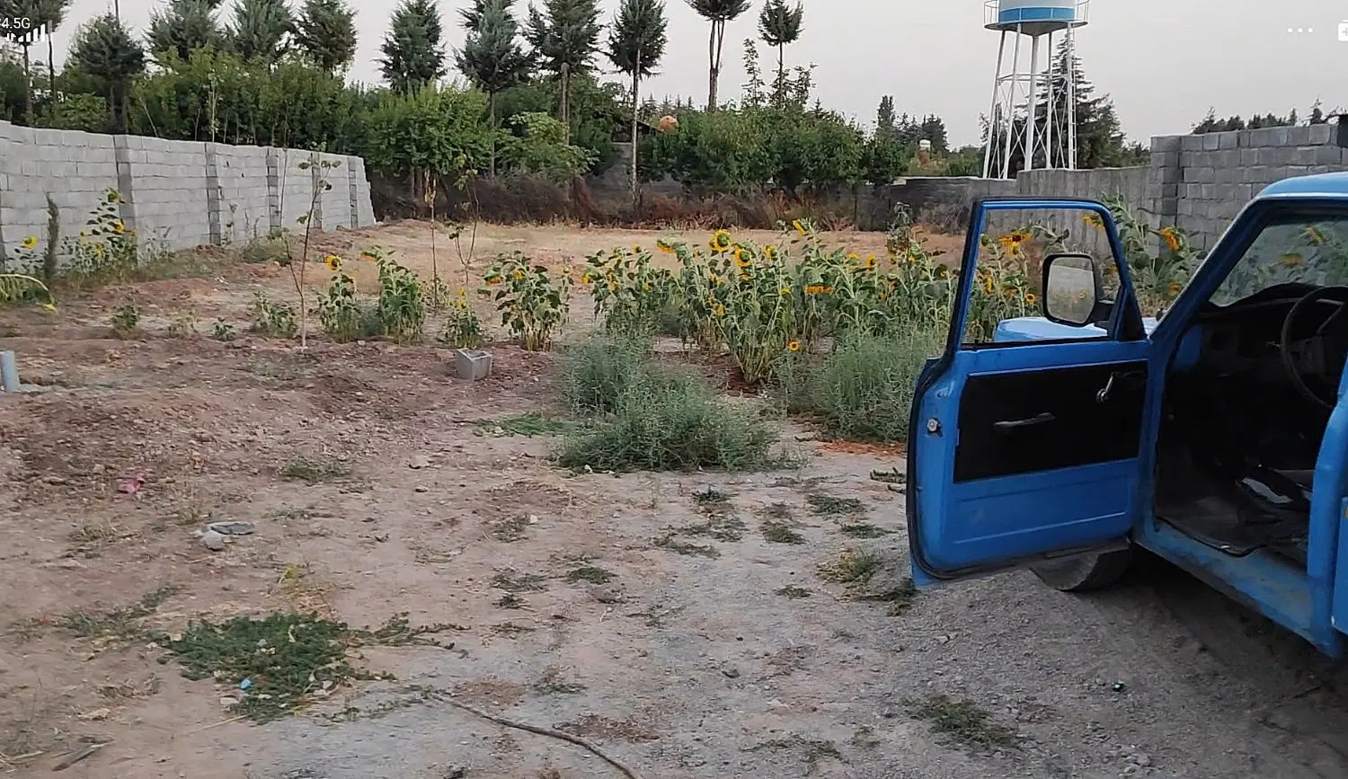 فروش زمین باغ برای ساخت ویلا