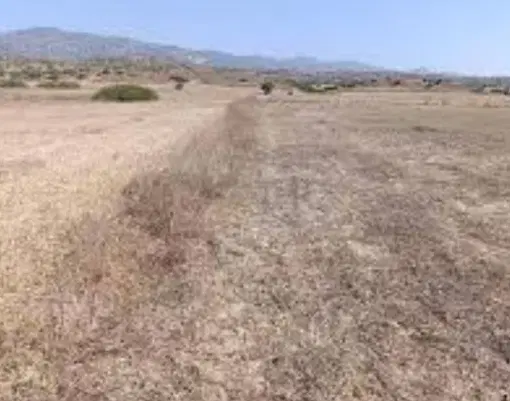 فروش زمین