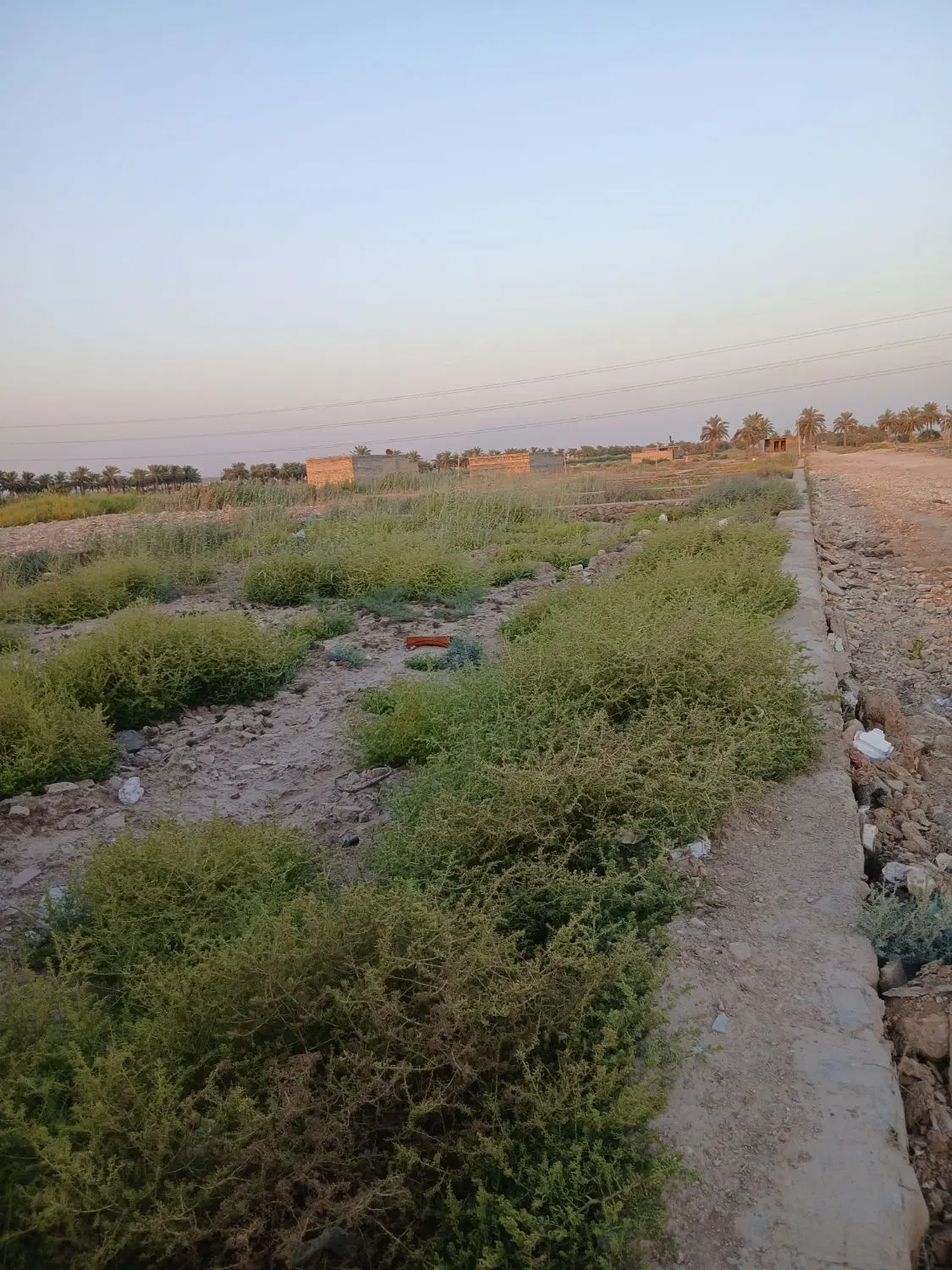 زمین شکاره۲شهرک ابوالفضل پلاک ۲۰۰متری