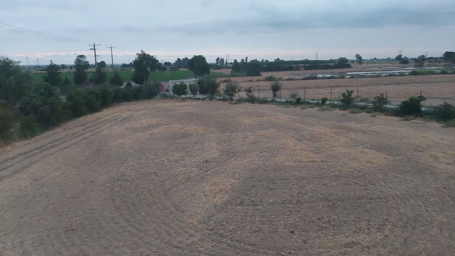 زمین باغی ‌