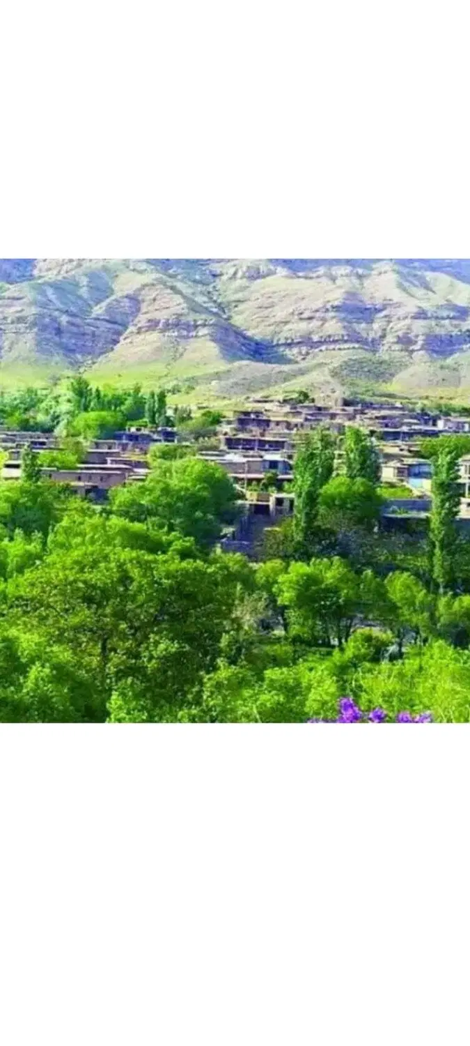 زمین ۴۵متری دزفول