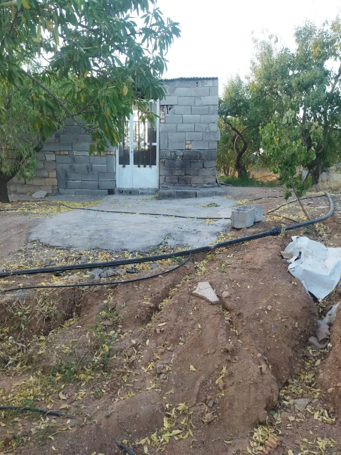 950متر باغچه سرسبز و زیبا