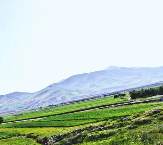 زمین واگذاری پست فاز یک روبروی بشار صنعت