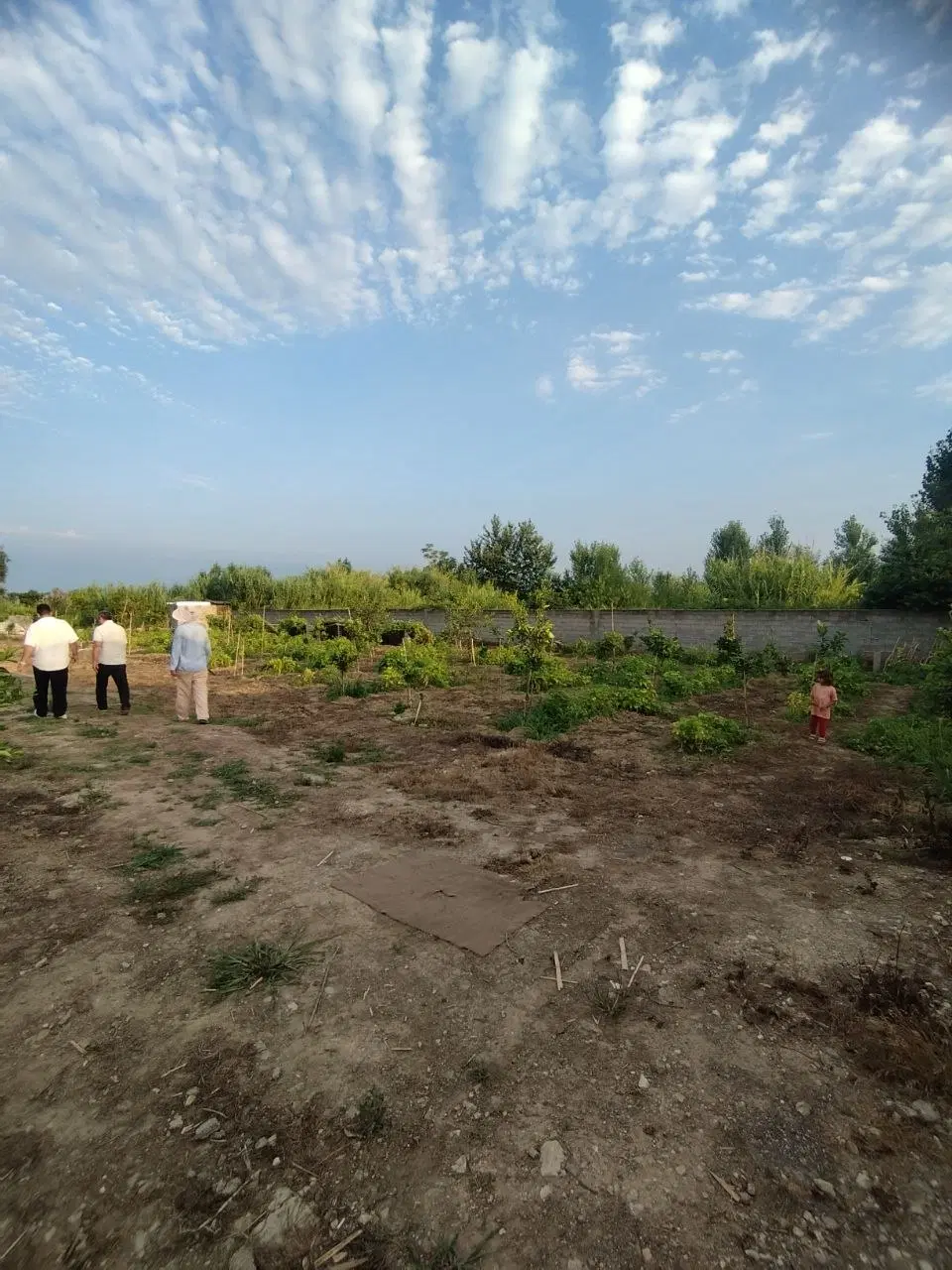 زمین باغ ۲ هزار ۵۰۰ متری ساحلی