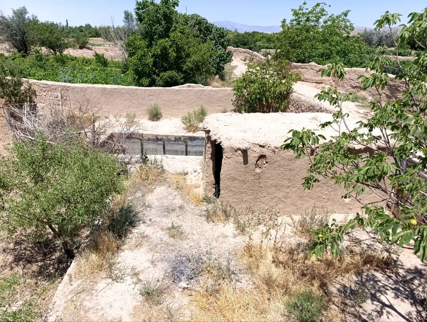 خونه باغ
