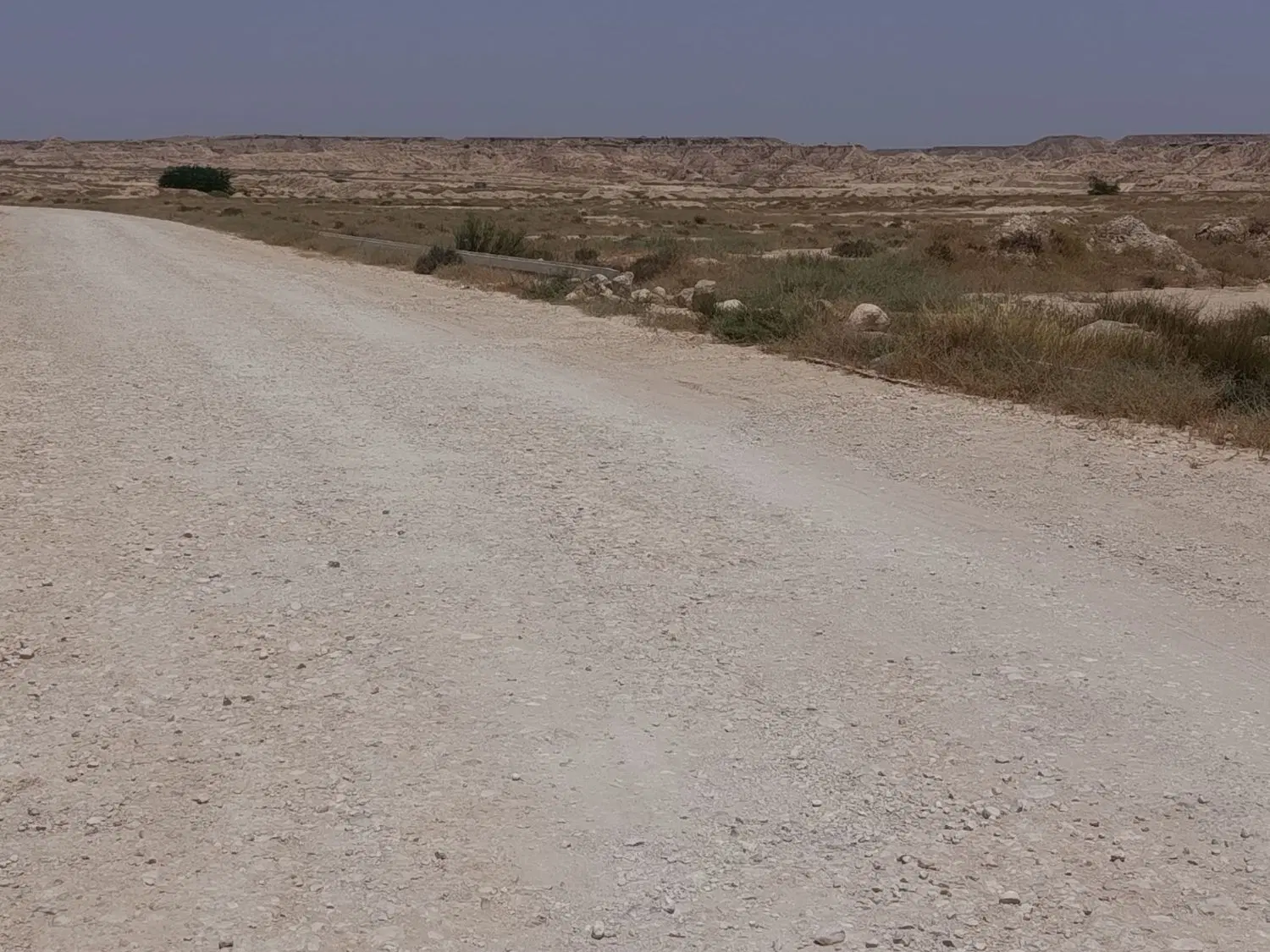 زمین فروشی عالیشهر