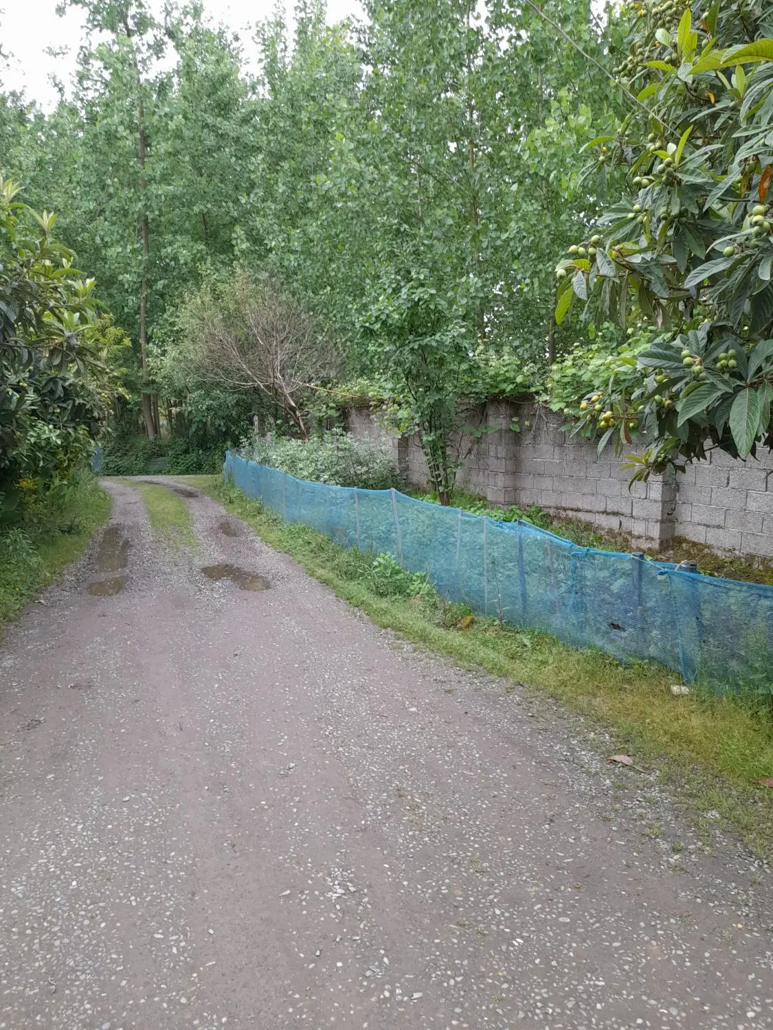خانه ویلایی دلباز و دنج