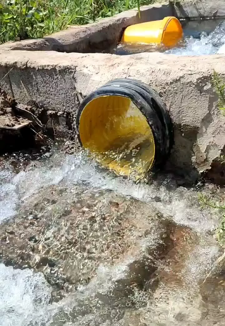 یک قطعه باغ